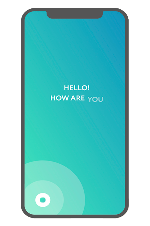 dual phone